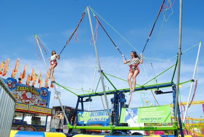 V4 Bungee Trampoline V4 Bungee Trampoline